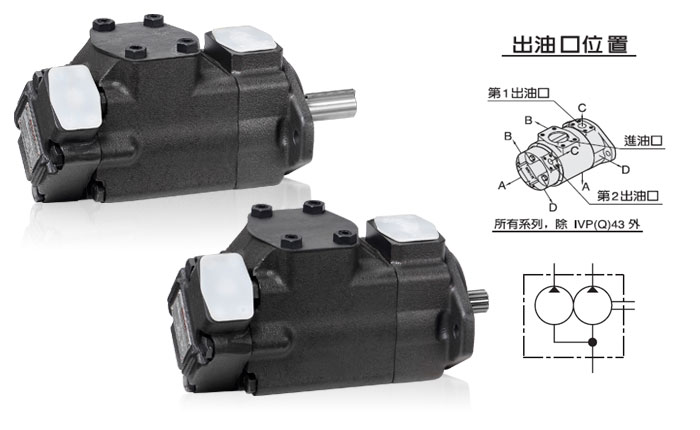 IVPV son and mother vane quantitative pump